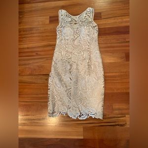 NWT Cache lace dress
